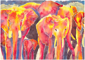 Elefants1