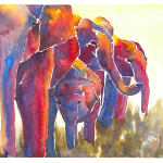Elefants3