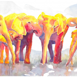 Elephants7